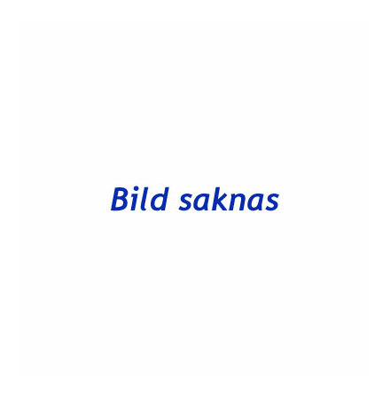 Slipband 750x150 mm K120 vv